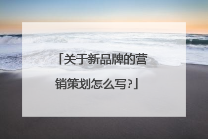 关于新品牌的营销策划怎么写?