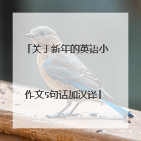 关于新年的英语小作文5句话加汉译