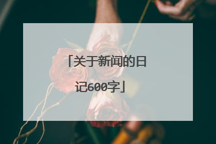 关于新闻的日记600字