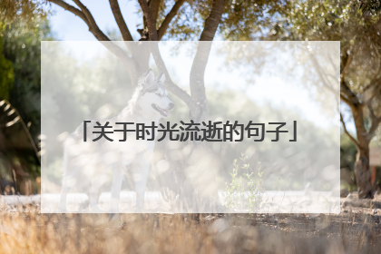 关于时光流逝的句子