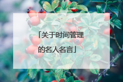 关于时间管理的名人名言