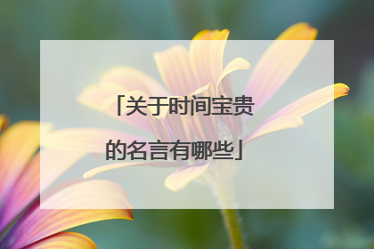 关于时间宝贵的名言有哪些
