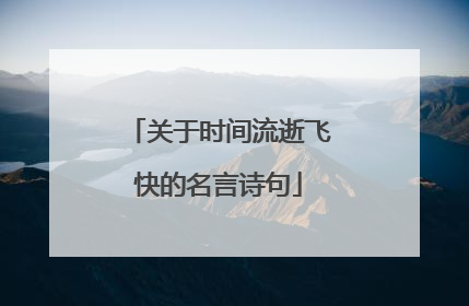 关于时间流逝飞快的名言诗句