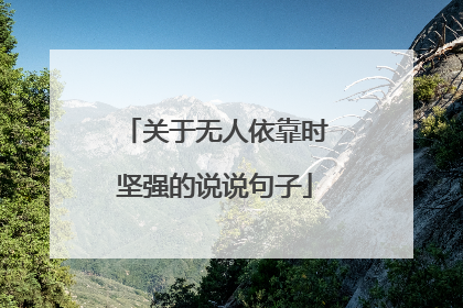 关于无人依靠时坚强的说说句子