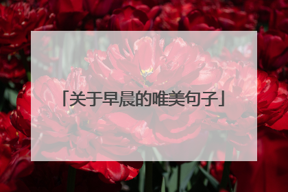 关于早晨的唯美句子