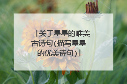 关于星星的唯美古诗句(描写星星的优美诗句)