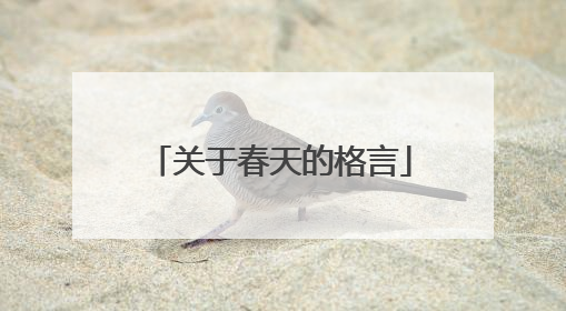 关于春天的格言