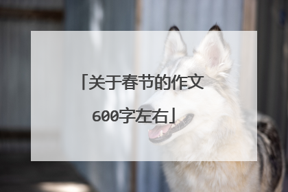 关于春节的作文600字左右