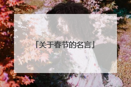 关于春节的名言