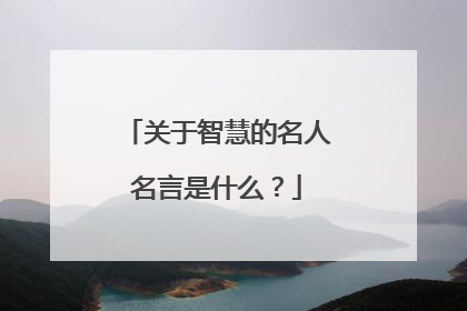 关于智慧的名人名言是什么？