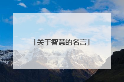 关于智慧的名言