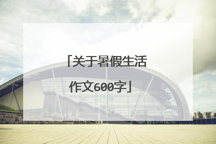 关于暑假生活作文600字
