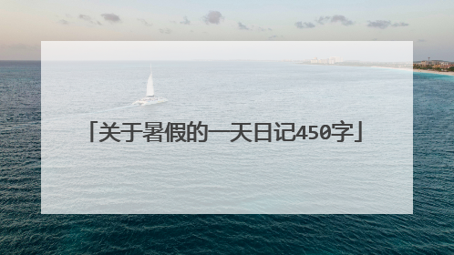 关于暑假的一天日记450字