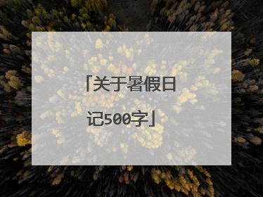 关于暑假日记500字