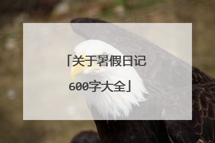 关于暑假日记600字大全