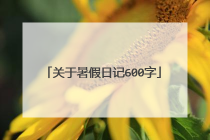 关于暑假日记600字