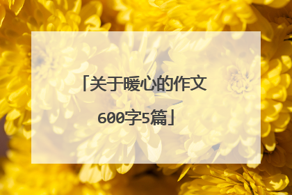 关于暖心的作文600字5篇