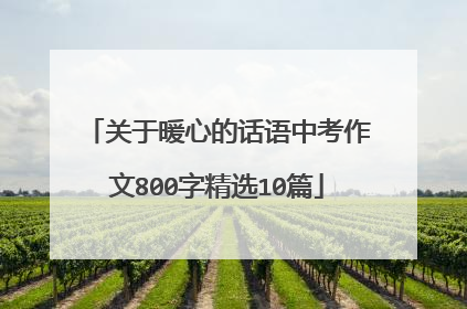 关于暖心的话语中考作文800字精选10篇