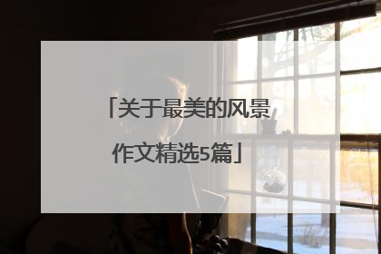 关于最美的风景作文精选5篇