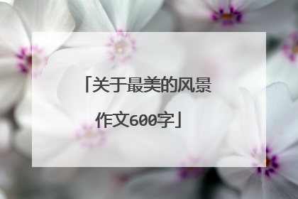 关于最美的风景作文600字