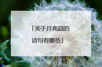 关于月亮圆的诗句有哪些