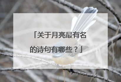 关于月亮最有名的诗句有哪些？