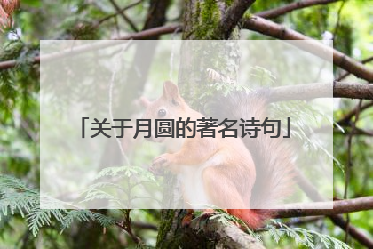关于月圆的著名诗句