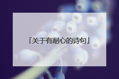 关于有耐心的诗句