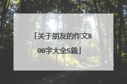 关于朋友的作文800字大全5篇