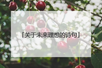 关于未来理想的诗句