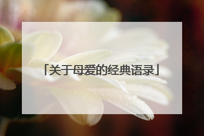关于母爱的经典语录