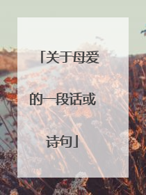 关于母爱的一段话或诗句