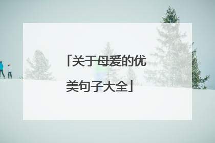 关于母爱的优美句子大全