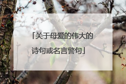 关于母爱的伟大的诗句或名言警句