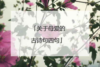 关于母爱的古诗句四句