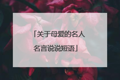 关于母爱的名人名言说说短语