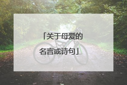 关于母爱的名言或诗句