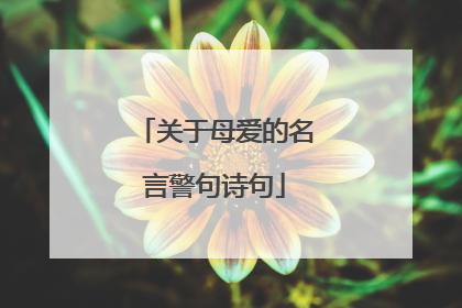 关于母爱的名言警句诗句