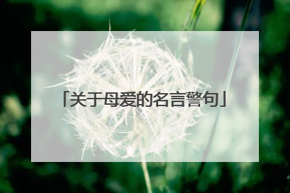 关于母爱的名言警句