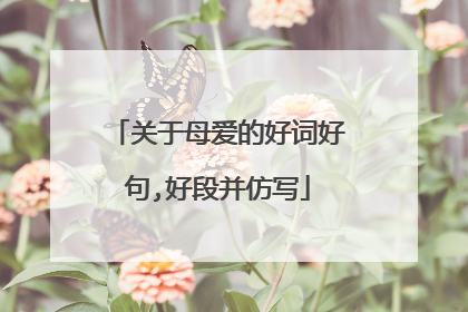关于母爱的好词好句,好段并仿写