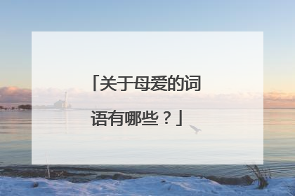 关于母爱的词语有哪些？