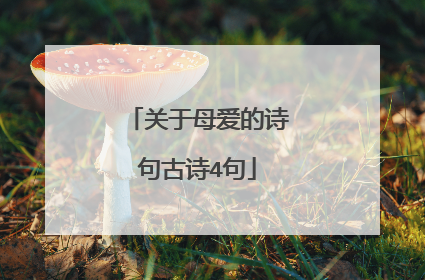 关于母爱的诗句古诗4句