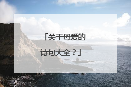 关于母爱的诗句大全？