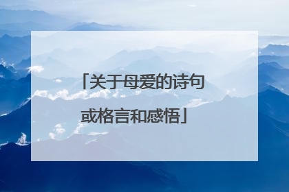 关于母爱的诗句或格言和感悟