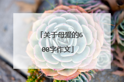 关于母爱的600字作文