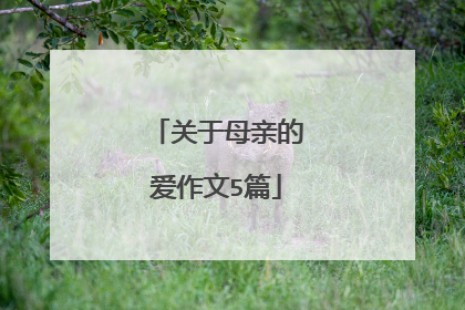 关于母亲的爱作文5篇