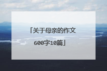 关于母亲的作文600字10篇