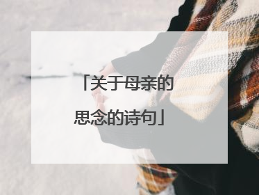 关于母亲的思念的诗句