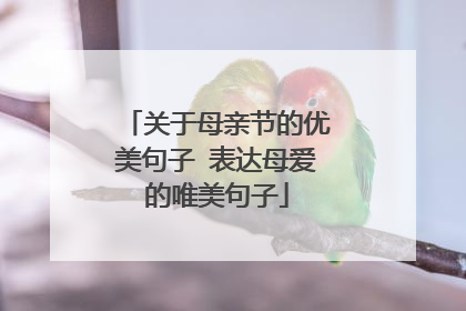 关于母亲节的优美句子 表达母爱的唯美句子