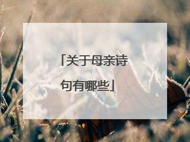 关于母亲诗句有哪些